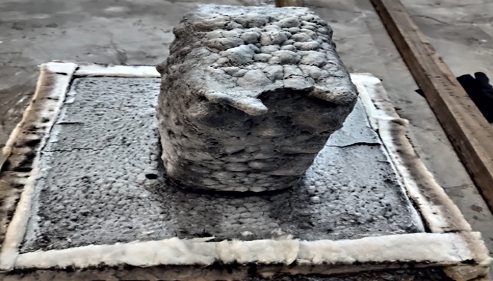 Trung t&acirc;m nghi&ecirc;n cứu thực nghiệm Megarad chuyển giao c&ocirc;ng nghệ sản xuất sơn chống ch&aacute;y phồng rộp hệ dung m&ocirc;i 